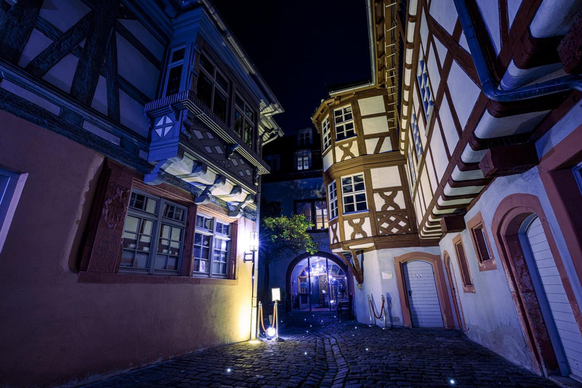 Steinhaeuser Hof Neustadt an der Weinstrasse Exterior photo