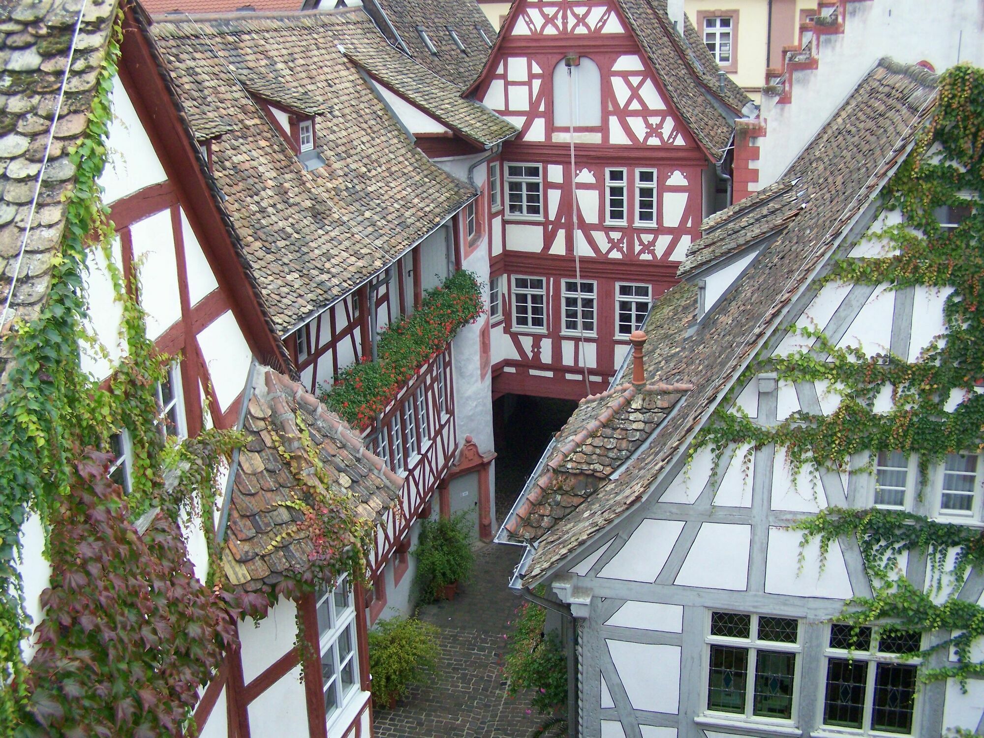 Steinhaeuser Hof Neustadt an der Weinstrasse Exterior photo